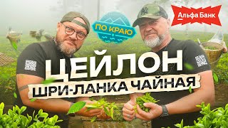 Шри-Ланка. Тот самый цейлонский чай