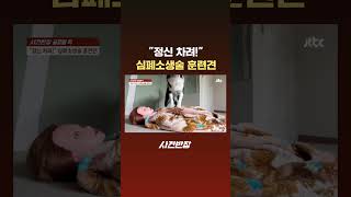 "정신 차려!" 심폐소생술 훈련견 #JTBC #Shorts