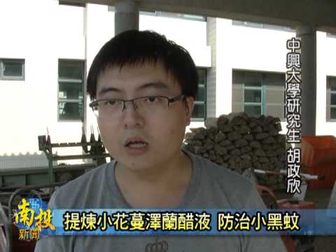 19南投新聞-草屯小花蔓澤蘭醋液防治小黑蚊 - YouTube(2分09秒)