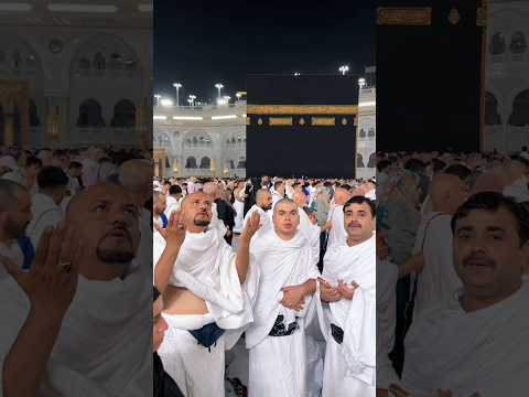 Waleed ❤️ Mamu SW PET house #mamu #swpetshouse