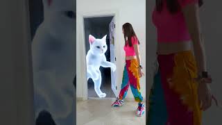 Gato fantasma! #viralvideo #funny