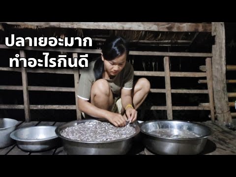 ปลากาละมังใหญ่ๆ เอามาแล้วทำอะไรกิน มาดูกัน | ปลาชิลทังนั้น