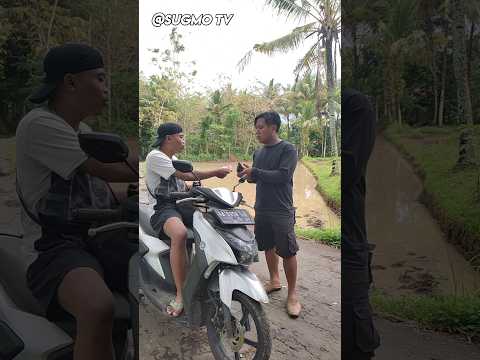 Belum tau #shortvideo #shortsviral