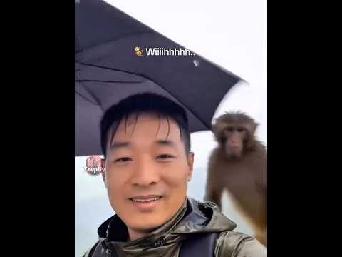 Meme Absurd Ketawa Baik #meme #memes #lucu