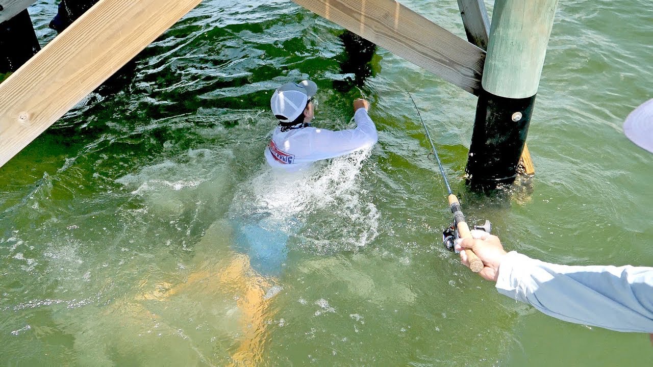 Massive Bait Catch with Surprise Cobia & Snook in Tampa Bay