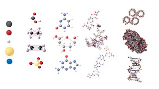 The Chemistry of Life