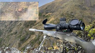 How To Hunt | Learning Basics The Practical Way 