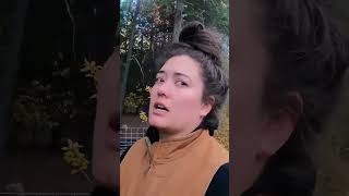 A homesteaders to-do list: