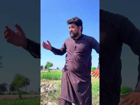 Button Naka Pani Aya#vfxmahjabeen #funny #ekmotahathighumechala #lion