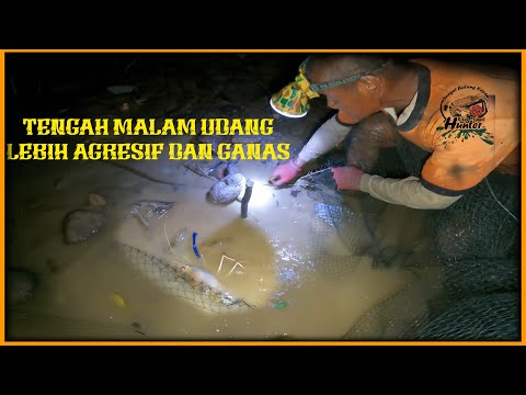 Malam Tenang Di Sungai Bertukar Meriah – Udang Galah Melimpah! dan dapat ikan besar bas