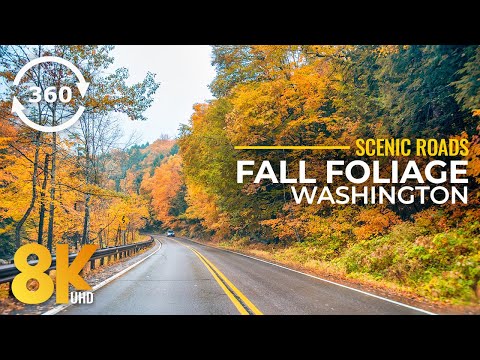 8K Wild Forest Roads of Washington State - 360° VR Scenic Autumn Drive on Skate Creek Road N