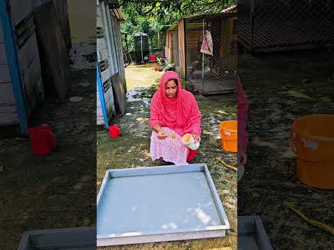 বাথ সল্ট দিয়ে গোসল করালাম #jotysreallife #minivlog