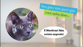 Seu gato não quer que você saiba disso... 👀Use o cupom: TRIGATOS #trigatos #viral #gatosfofos