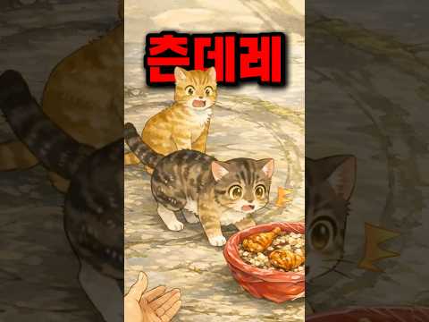 맨날 쫓아내면서 결국 밥은 챙겨주는 사람