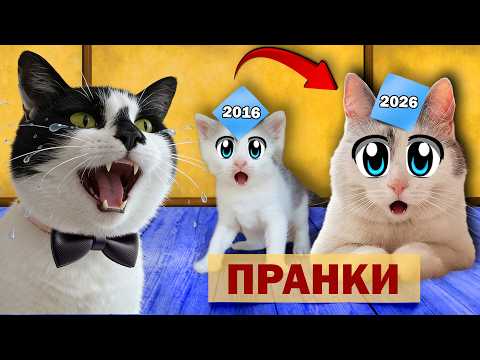 СМОТРИМ свои СТАРЫЕ ВИДЕО! ЛУЧШИЕ ПРИКОЛЫ и ПРАНКИ канала А ну-ка Давай-ка
