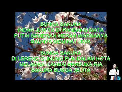 Karaoke Lgm. BUNGA SAKURA Keroncong Beat