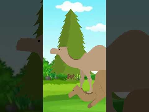 Shararati Bandar | One Minute Story | Cartoons |#cartoonanimal