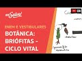 Reprodução e Ciclo de Vida das Briófitas