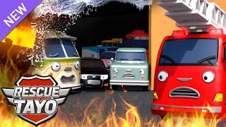 ¡Frank y Riki al rescate! Incendio en el show de autos | Cuento para Niños | Equipo de Rescate Tayo