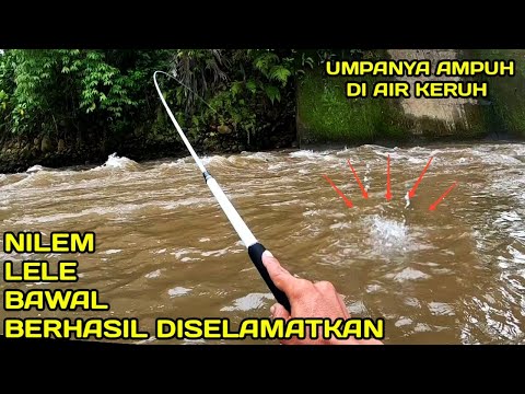 Mancing Saat Banjir Umpannya Ampuh Meski Airnya Keruh #LM11