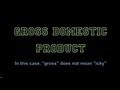 Understanding Gross Domestic Product Concepts