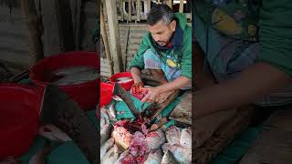 Fish 🐠🐠 Cutting 2025 || Rajarampur