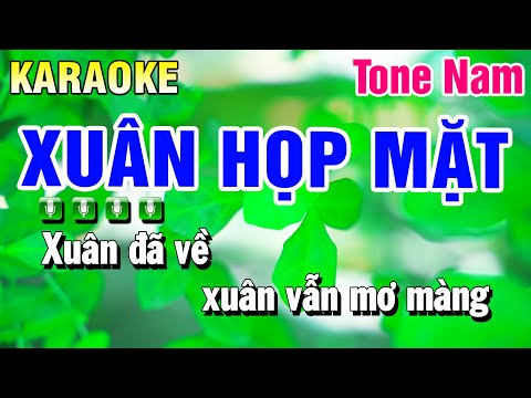 Karaoke Xuân Họp Mặt Tone Nam ( Nhạc Xuân 2025 ) Huỳnh Anh