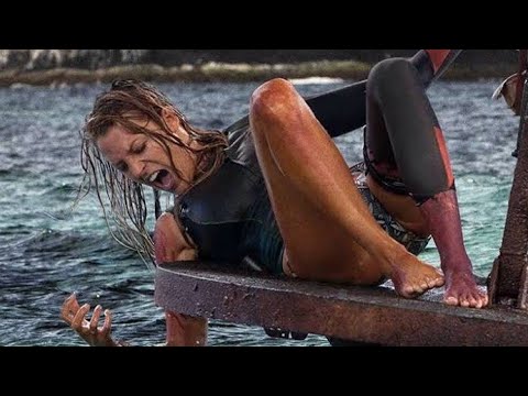 The Shallows Movie Explained in Hindi | Movie Explained in Hindi/Urdu