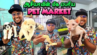 ஆசியாவின் மிக பெரிய PET MARKET | Chatuchak Weekend Market | Pakoda Boyz Niyaz