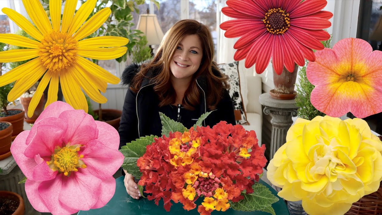 New Annuals for 2021! #1