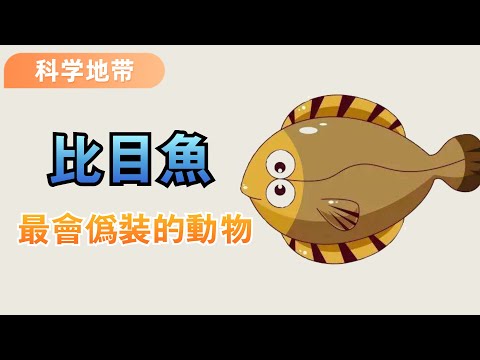 你見過會偽裝的動物是什麼呢？ - YouTube