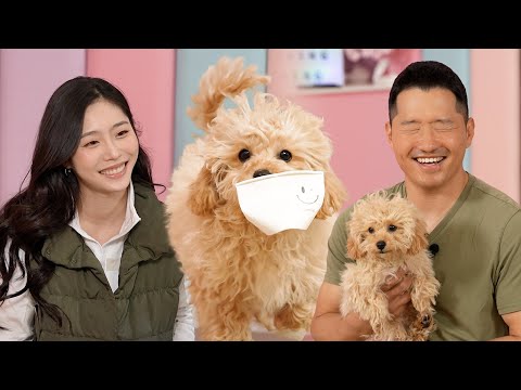 자신감 심어줬더니 종이컵 물고 튀는 에이미네 강아지 [퍼피교육]
