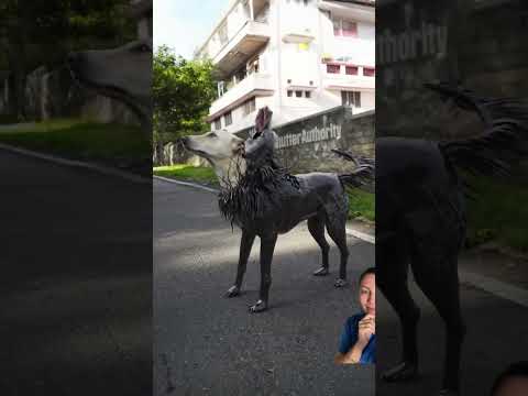 O cachorro se transformou no Venom🤪 #animals #funny #venom #comedy #barbieptbr #cartoon #animation