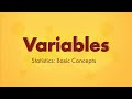 Understanding Quantitative and Qualitative Variables