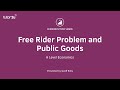 Understanding the Free Rider Problem