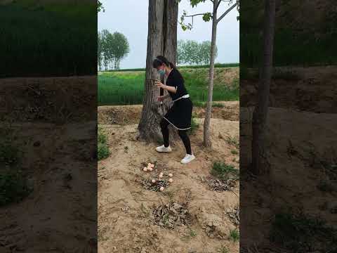 #农人春耕图 #上快手学农技 #快手三农耕耘计划 #comedy