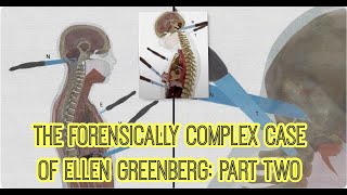 The Forensically Complex Case of Ellen Greenberg: Part Two