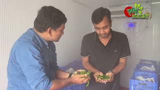ফারমার্স মিনি কোল্ড স্টোরেজ - কৃষকের হাতেই প্রযুক্তি, সবজি-ফল সংরক্ষণে নতুন সম্ভাবনা!