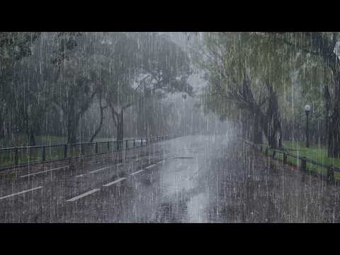 Lluvia Relajante para Dormir Profundamente ⚡ Aliviar El Estrés con Lluvia Fuertes en el Selva
