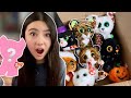 Beanie Boo Character Recognition