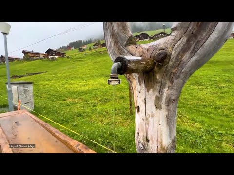 Gimmelwald Swiss village || खूबसूरत बारिश में पैदल यात्रा