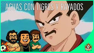 Felicidades Tigres y Monterrey por su Final REGIA, el Nuevo Clásico Nacional 🔴EN VIVO