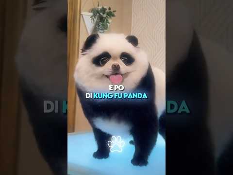 Le 3 Razze di Cani Uscite da un Videogioco ๐ฎ๐ถ (LโUltima ร Pikachu ๐ฑโก)