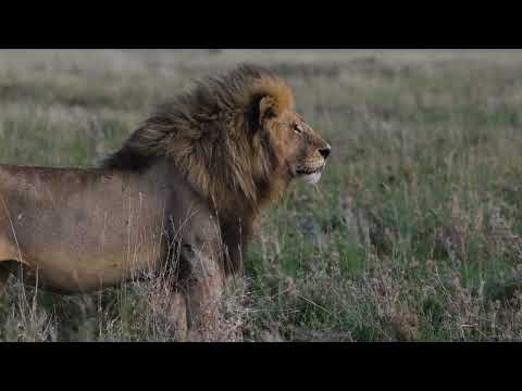 Central Kalahari Game Reserve