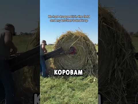 Та Самая Задачка🔥