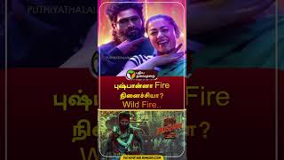 புஷ்பான்னா Fire நினைச்சியா? Wild Fire.. | #pushpa2 | #boxoffice | #shorts