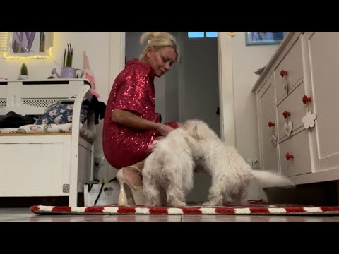 Новое Платье Сплетни Ютуба