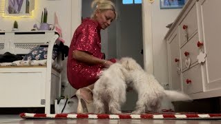 видео