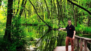 Aquascaping Inspiration: Discover Hungary’s Hidden Natural Paradise