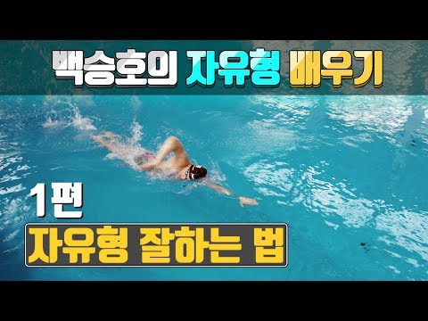 SHC 수영_[1편]_자유형 잘하는 법_백승호의 자유형배우기